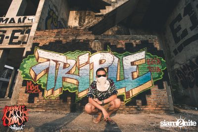 Meeting Of Styles (MOS) กราฟฟิตี้เฟสติวัล ที่เชียงใหม่ 2558 — photo 328