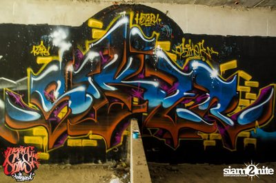 Meeting Of Styles (MOS) กราฟฟิตี้เฟสติวัล ที่เชียงใหม่ 2558 — photo 259