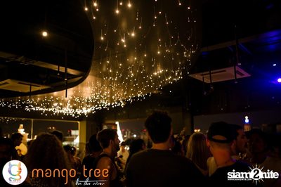 Special G-Spot Night Party at Mango Tree on the River — photo 19