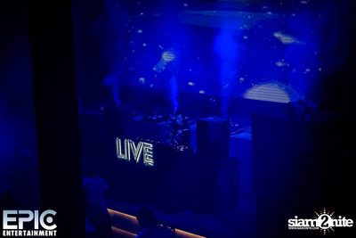 PARIS BLOHM Live at Levels Club, Sukhumvit Soi 11 — photo 17