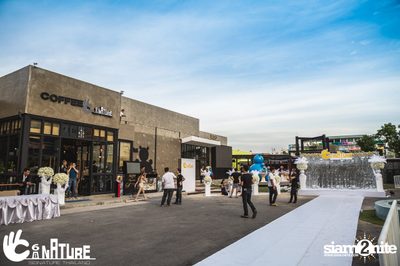 Grand Opening Party with POTATO at Signature Pub — photo 2