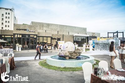 Grand Opening Party with POTATO at Signature Pub — photo 7