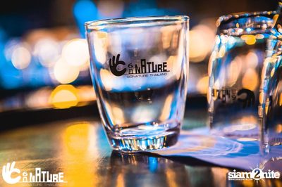 Grand Opening Party with POTATO at Signature Pub — photo 15