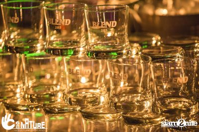 Grand Opening Party with POTATO at Signature Pub — photo 77