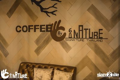 Grand Opening Party with POTATO at Signature Pub — photo 99