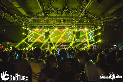 Grand Opening Party with POTATO at Signature Pub — photo 121