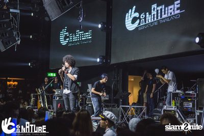 Grand Opening Party with POTATO at Signature Pub — photo 174