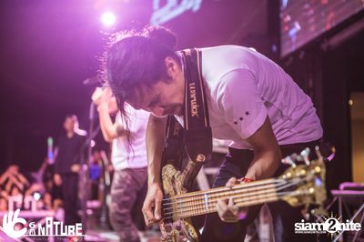 Grand Opening Party with POTATO at Signature Pub — photo 241