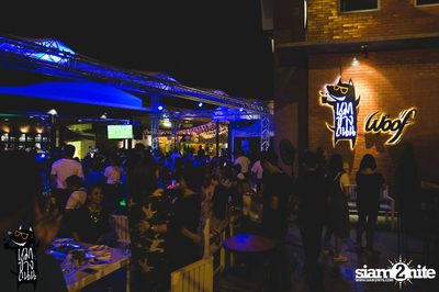 Polycat Live Concert at Roadsidedog, Praditmanutam Road — photo 3