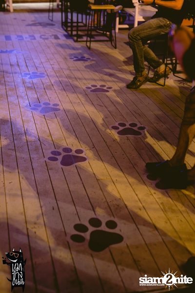 Polycat Live Concert at Roadsidedog, Praditmanutam Road — photo 15