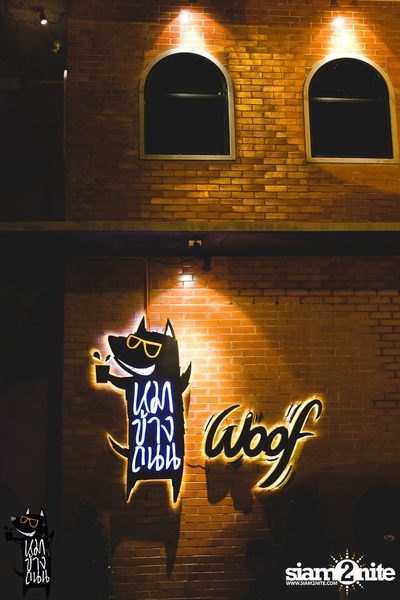 Polycat Live Concert at Roadsidedog, Praditmanutam Road — photo 17