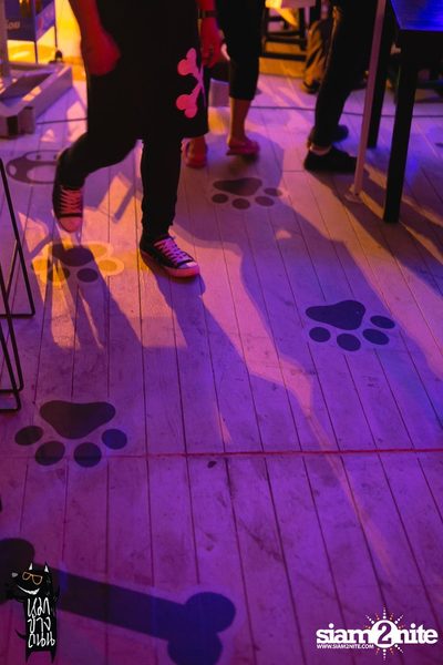 Polycat Live Concert at Roadsidedog, Praditmanutam Road — photo 29