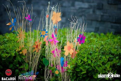 Flower Power Pool Party at Radisson Blu Plaza — photo 47