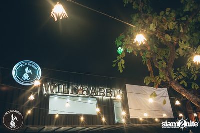 คอนเสิร์ต บิว The Voice ที่ร้าน ไวลด์ แร็บบิท, พหลโยธิน ซอย 19/1 — photo 14