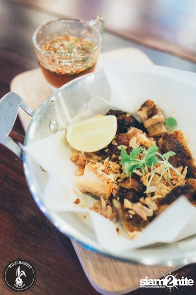 คอนเสิร์ต บิว The Voice ที่ร้าน ไวลด์ แร็บบิท, พหลโยธิน ซอย 19/1 — photo 45