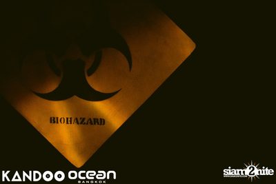 Ocean & Kandoo นำเสนอ Superstar Panda Birthday Bash — photo 1