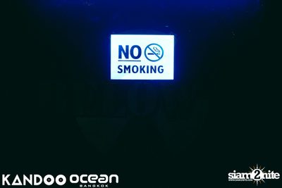 Ocean & Kandoo นำเสนอ Superstar Panda Birthday Bash — photo 5