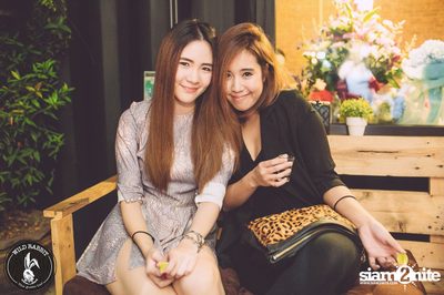 ปาร์ตี้ฉลองเปิดร้าน ไวลด์ แร็บบิท กับ สิงโต นำโชค — photo 80