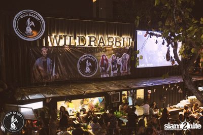 ปาร์ตี้ฉลองเปิดร้าน ไวลด์ แร็บบิท กับ สิงโต นำโชค — photo 111