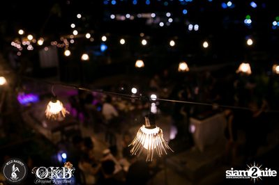 Container Room Party กับทีม OKB ที่ ไวลด์ แร็บบิท — photo 5