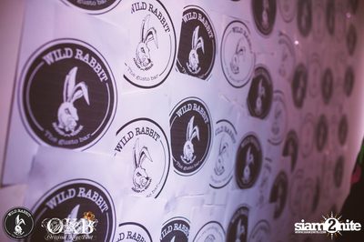 Container Room Party กับทีม OKB ที่ ไวลด์ แร็บบิท — photo 11