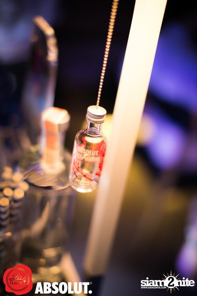 Absolut presents La Femme Drink Society at Salt Aree — photo 83