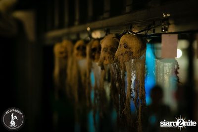 คอนเสิร์ต Greasy Cafe ที่ ไวลด์ แรบบิท, พหลโยธิน ซอย 19/1 — photo 12