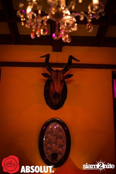 Absolut presents La Femme Drink Society at Namsaah Bottling Trust — photo 37