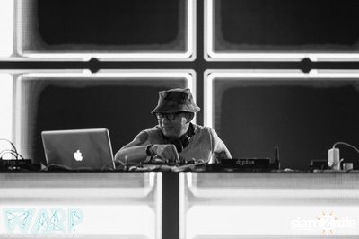 Warp Music Festival 2015 - Pattaya (Album 2 of 9) — photo 69