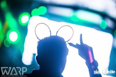 Warp Music Festival 2015 - Pattaya (Album 7 of 9) — photo 362