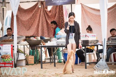 Warp Music Festival 2015 - Pattaya (Album 8 of 9) — photo 7