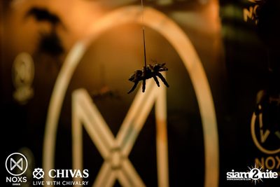 Friday Night at NOXS Bangkok, Ekamai-Raminthra — photo 20