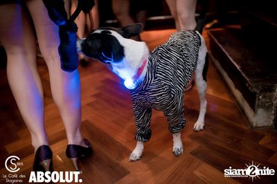 The Halloween Party at Le Café des Stagiaires - Bangkok — photo 88
