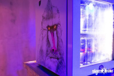 Red Bull Canvas Cooler Thailand 2015 at Iconic Studio — photo 72