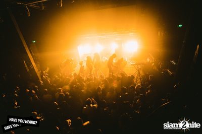 NEON INDIAN Live in Bangkok โดย Have You Heard? — photo 259