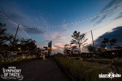 Swing Vintage Jazz | Loy Kratong ที่ ฮ็อปส์ คานาพายา — photo 31