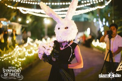 Grand Opening ที่ HOBS The Symphony of Taste — photo 134
