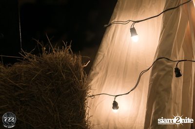 RECU & 722 pres. Into The Wild Party — photo 65