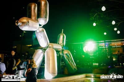 Singha presents LIPTA at Sense of the sea — photo 10