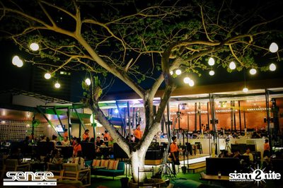 Singha presents LIPTA at Sense of the sea — photo 66