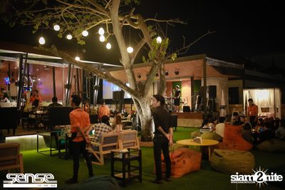 Singha presents LIPTA at Sense of the sea — photo 86