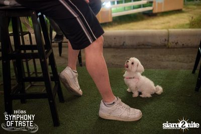 Christmas Eve ที่ HOBS The Symphony of Taste — photo 214