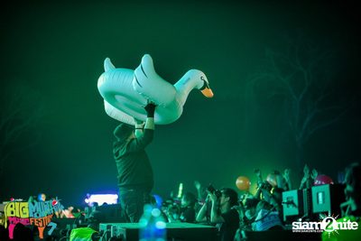 Big Mountain Festival 2015 - BMMF7 (อัลบั้มที่ 2) — photo 125