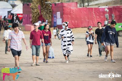 Big Mountain Festival 2015 - BMMF7 (อัลบั้มที่ 4) — photo 2