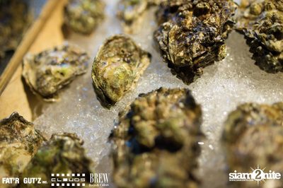 Seenspace Invasion ที่ร้าน Clouds, Fat'R Gut'z และ BREW Beers & Ciders — photo 25