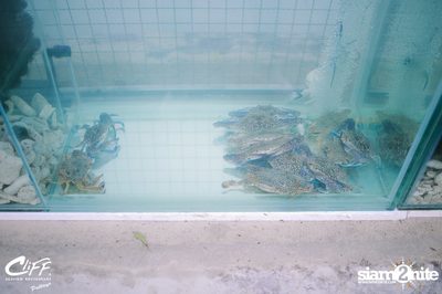 Saturday Night Pool Party at Cliff Seaview Restaurant — photo 5