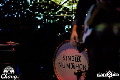 Chang & TO-B pres. Happy Chinese New Year w/ Singto Numchok — photo 59