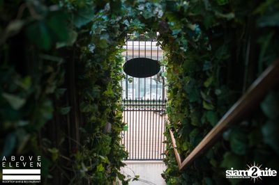 Sunset in the Park - Launch Party ที่ อะโบฟ อีเลฟเว่น — photo 3