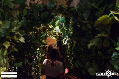 Sunset in the Park - Launch Party ที่ อะโบฟ อีเลฟเว่น — photo 44