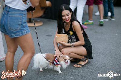 Splendid Sunday Cinema Club at Surface — photo 48